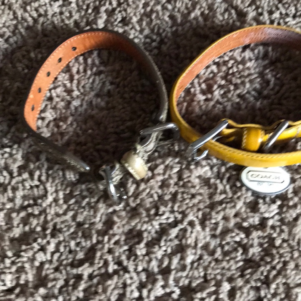 Coach dog collars